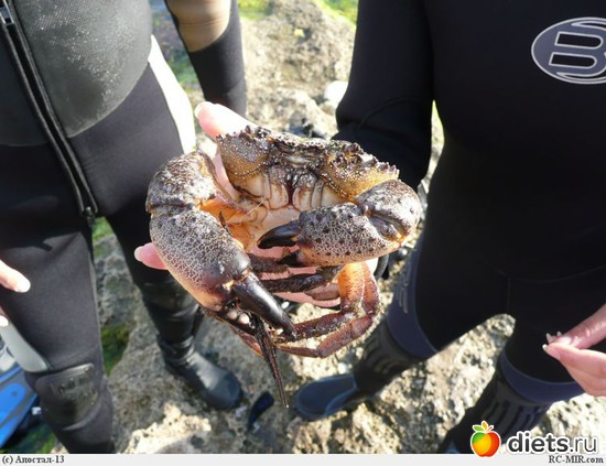 19 ����: ������ ������