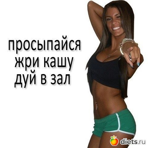 �������� ���������