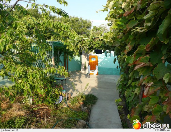 39 ����: ������ ������