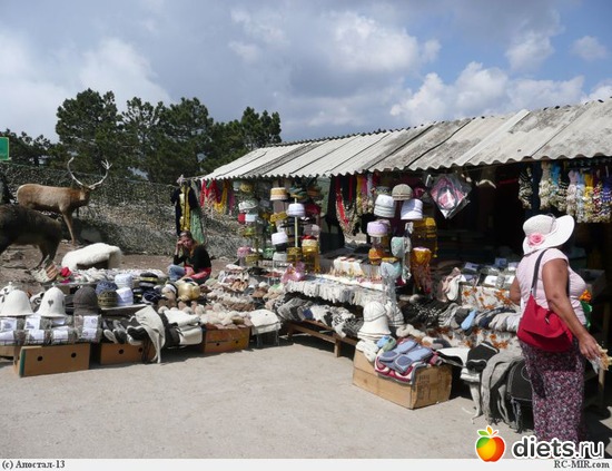 41 ����: ������ ������