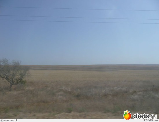 43 ����: ������ ������