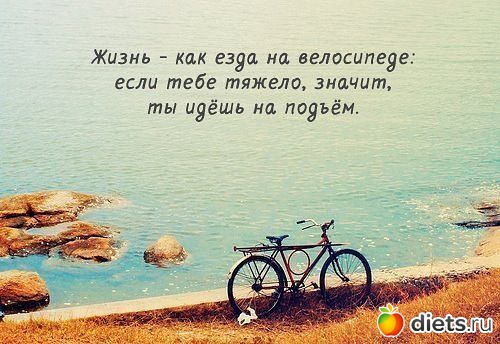 �������� ���������