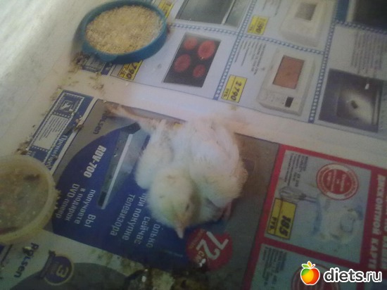 11 ����: ��� �����