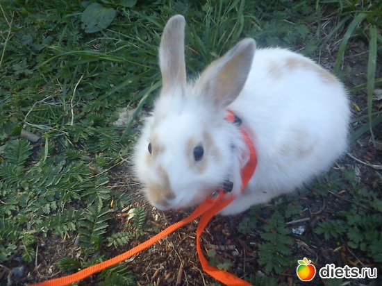 18 фото: разное-интересное)