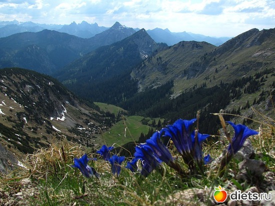 70 фото: Наши окрестности