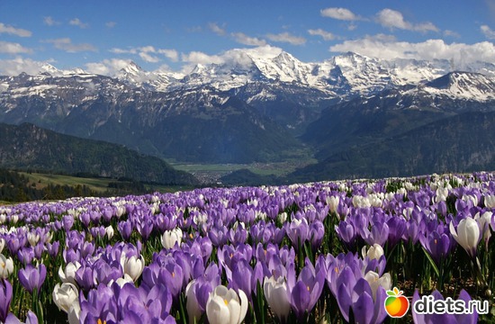 71 фото: Наши окрестности