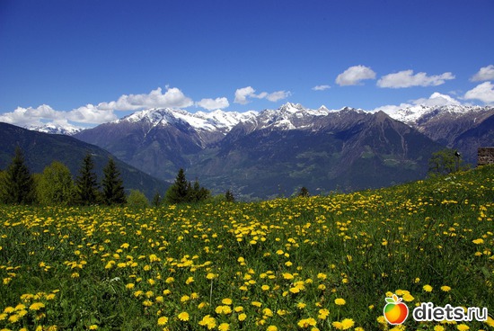 72 фото: Наши окрестности