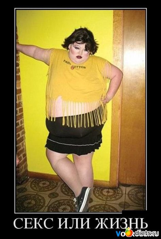 49 ����: �������