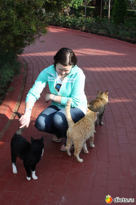 Кошачий конвейер, альбом: Must Love Cats