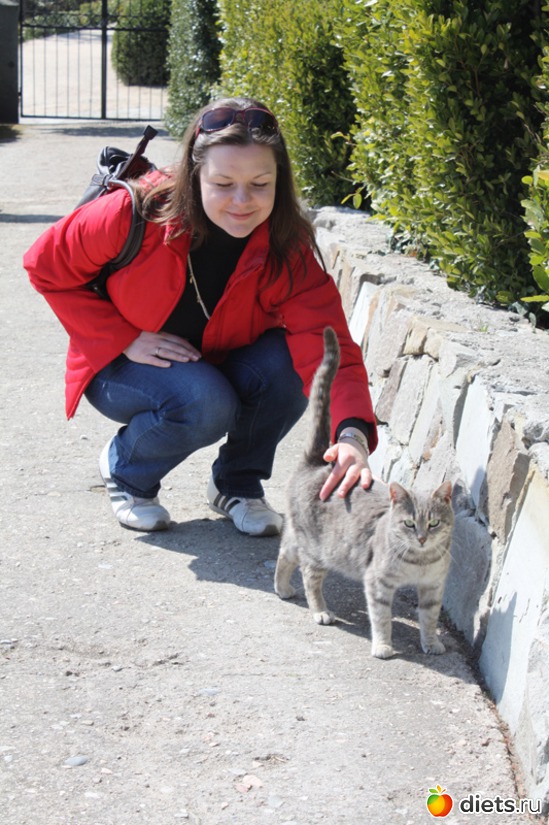 � ��� ���� ���������, ������ �� ��������!, ������: Must Love Cats