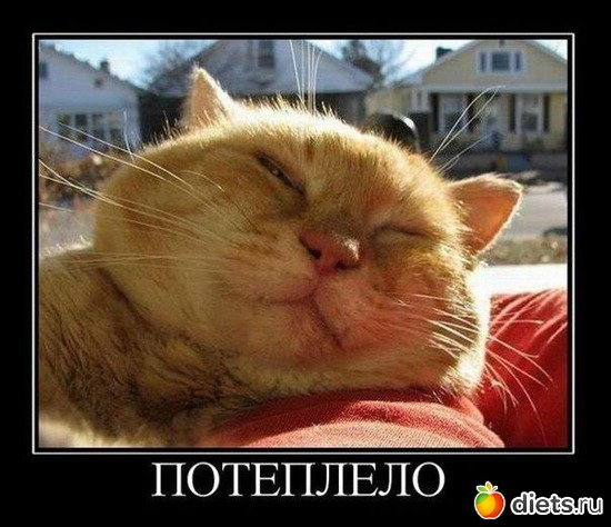 3 фото: то что ближе к душе