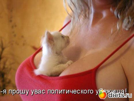 �� ��� ����� � ����