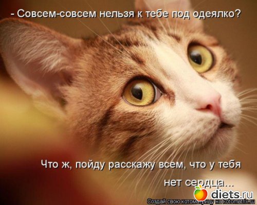 �� ��� ����� � ����