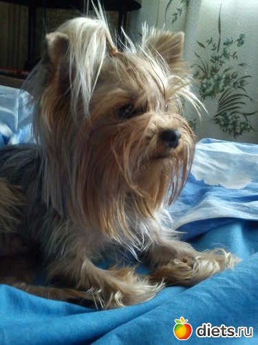 2 ����: ��� �����