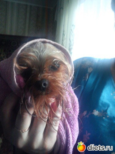 3 ����: ��� �����