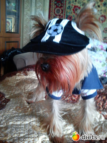 4 ����: ��� �����