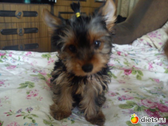 5 ����: ��� �����