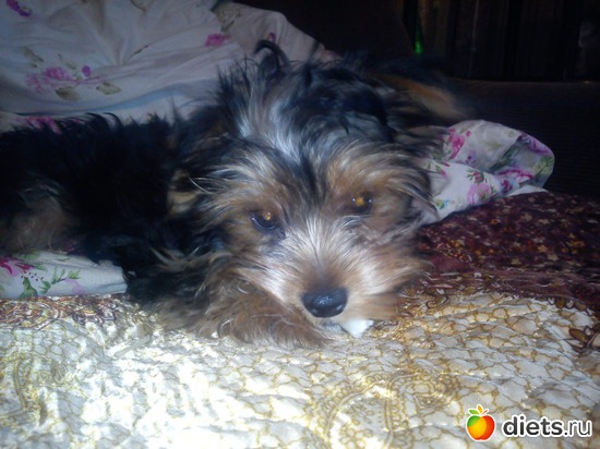 6 ����: ��� �����