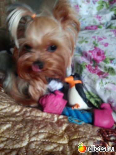 8 ����: ��� �����