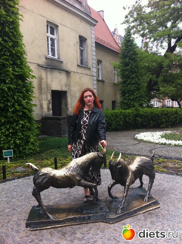 �������. ��� 2012, ������: �����������