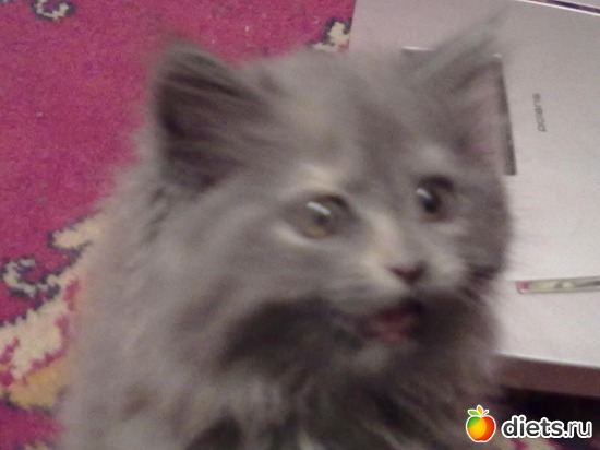 8 ����: ������ ���