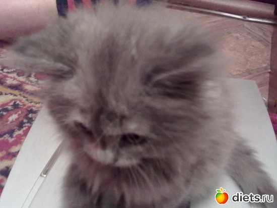 9 ����: ������ ���