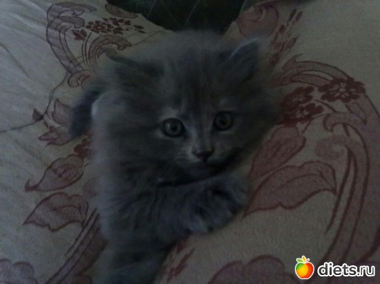 10 ����: ������ ���