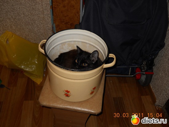 5 фото: просто фотки