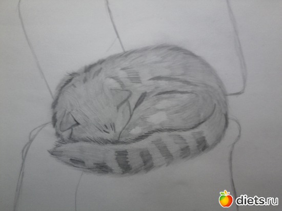 3 ����: ��� �����(�� ������ �������)