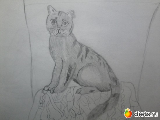 4 ����: ��� �����(�� ������ �������)