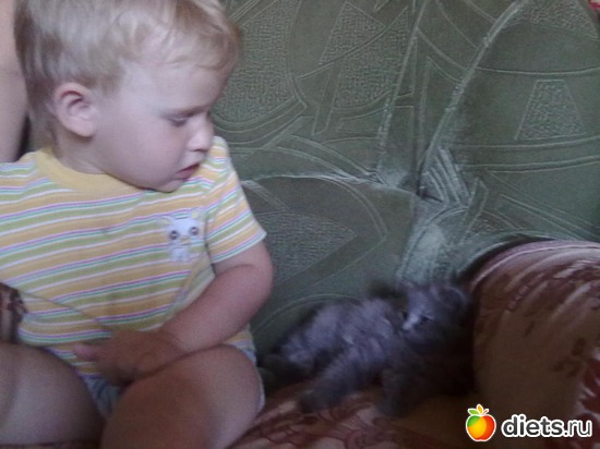 11 ����: ���� � ʤ