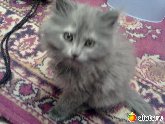 6 ����: ������ ���