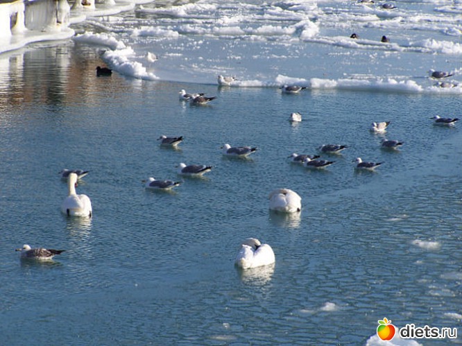 16 фото: Мой город