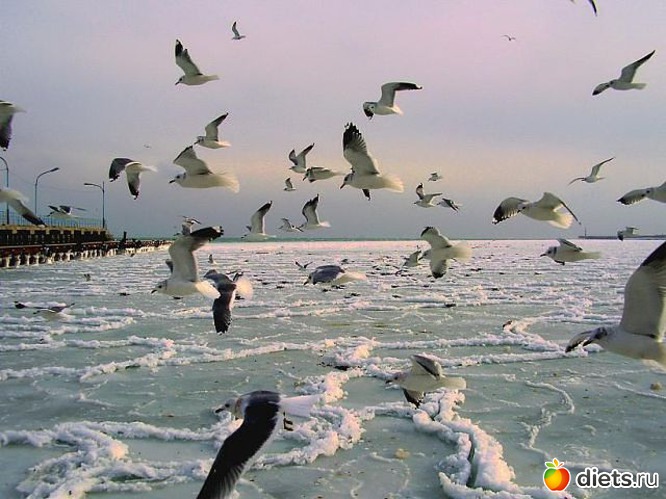 17 фото: Мой город