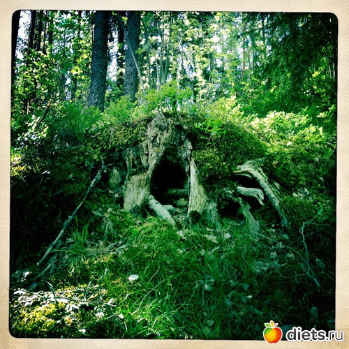 2 ����: 26-05-2012 Karhvuori - Karhula - Korkeakoski