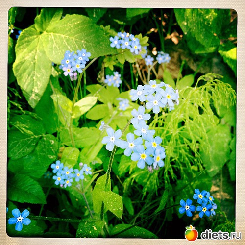 4 ����: 26-05-2012 Karhvuori - Karhula - Korkeakoski