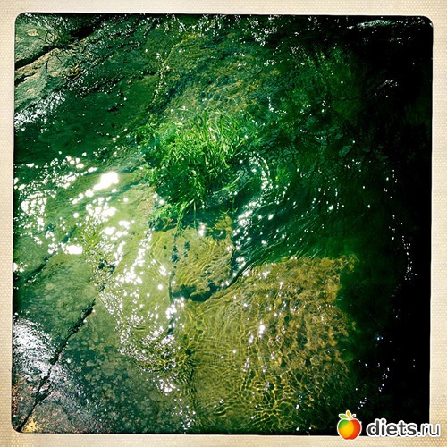 15 ����: 26-05-2012 Karhvuori - Karhula - Korkeakoski