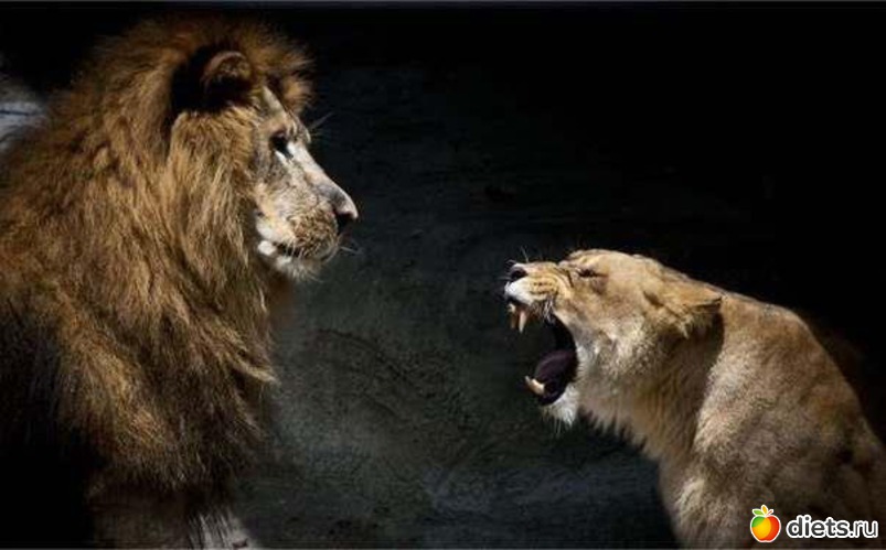 =) ������� ������ ��� ��� " �� ���������� ", ������: �� ��� ����� � ����