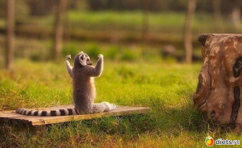 17 ����: �� ��� ����� � ����