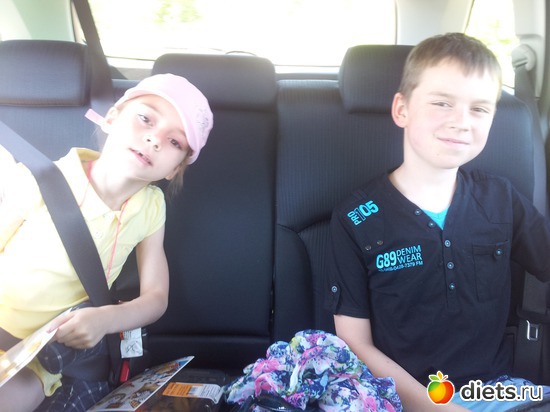 6 ����: Safari