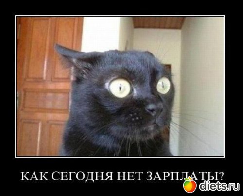 �� ��� ����� � ����