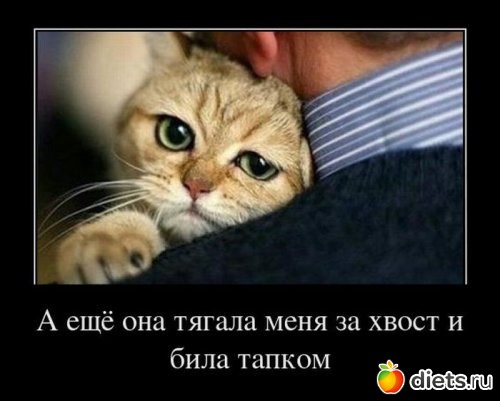 �� ��� ����� � ����