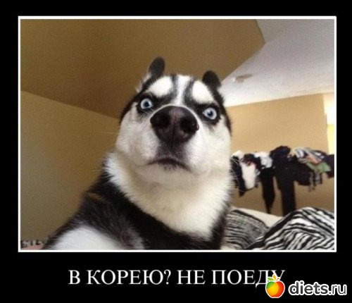 �� ��� ����� � ����