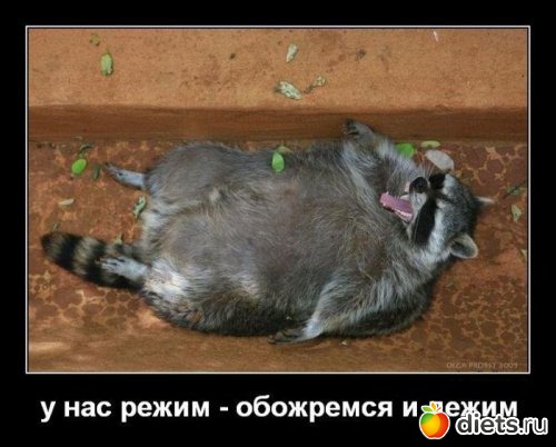 �� ��� ����� � ����