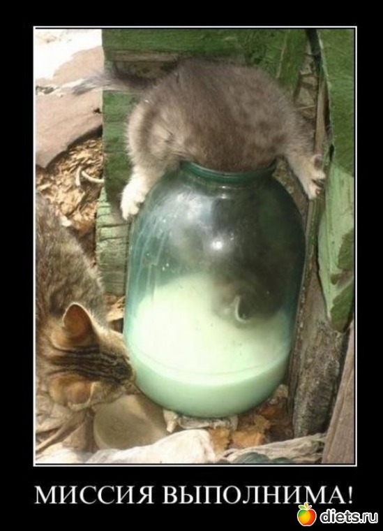 36 ����: �� ��� ����� � ����