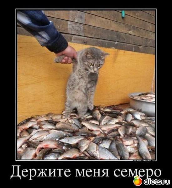 37 ����: �� ��� ����� � ����