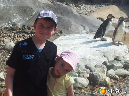 19 ����: Safari