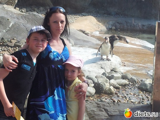 20 ����: Safari