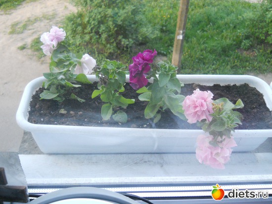 15 фото: Просто фото...