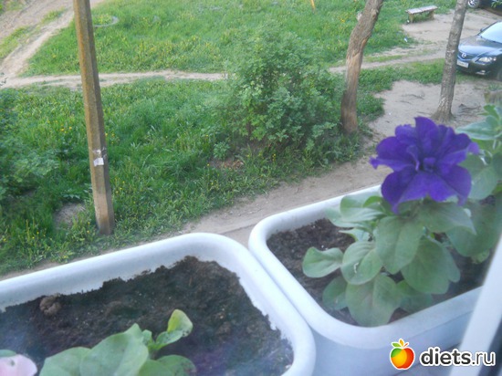 17 фото: Просто фото...